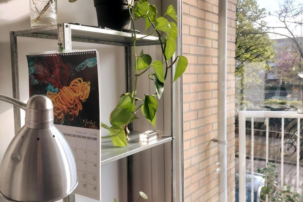 Apartment Relaxed In East *